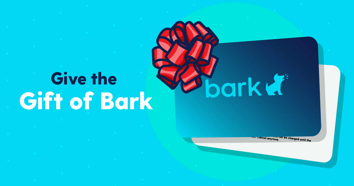Give the Gift of Bark This Holiday Season With Bark Gift Cards
