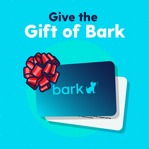 Give the Gift of Bark This Holiday Season With Bark Gift Cards